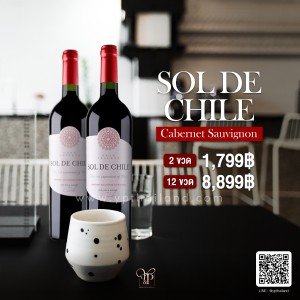 ไวน์ Sol De Chile 2 ขวด ราคา 1,799 จัดส่งฟรีทั่วประเทศ!