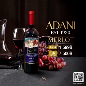 ไวน์ Adani Merlot ปี 2021 ไวน์แดงจากประเทศชิลี 🇨🇱 2 ขวด 1,599 บาท จัดส่งฟรีทั่วประเทศ