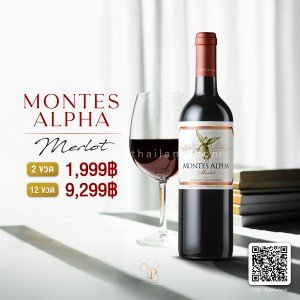 Montes Alpha Merlot 2 ขวด ราคา 1,999 บาท จัดส่งฟรีทั่วประเทศ!