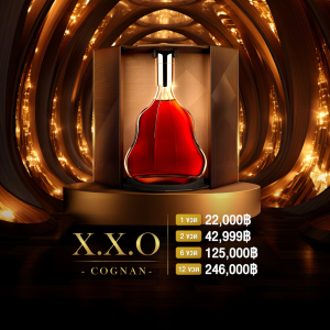HEN XX0 ราคา 22,000 บาท จัดส่งฟรีทั่วประเทศ!