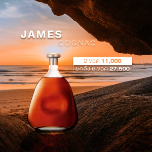 JAMES HEN COGNAC 2 ขวด 11,000 บาท จัดส่งฟรีทั่วประเทศ !!