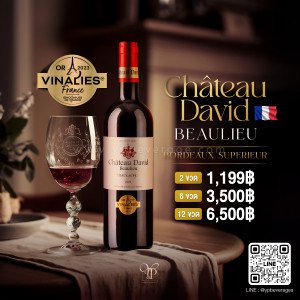 CHATEAU DAVID BEAULIEU 2022 - BORDEAUX SUPERIEUR RED