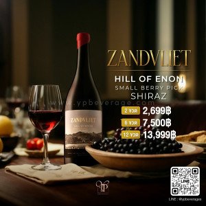 ZANDVLIET HILL OF ENON SMALL BERRY PICK SHIRAZ ราคา 2 ขวด 2,699 บาท จัดส่งฟรีทั่วประเทศ!