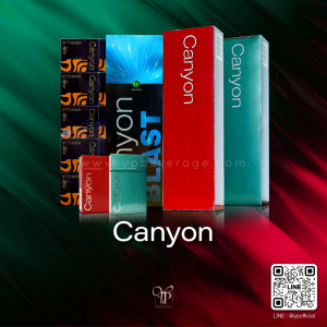CANYON ( คละสีได้ )  จัดส่งฟรีทั่วประเทศ!