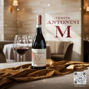TENUTA ANTONINI M MONTEPULCIANO D'ABRUZZO