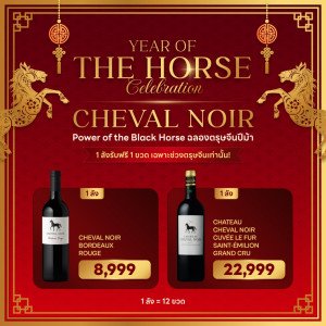 YEAR OF CELEBRATION 🐎 CHEVAL NOIR POWER OF BLACK HORSE