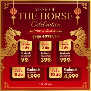YEAR OF HORSE CELEBRATION 🐎